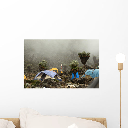 Barranco camp on Machame route. Mount Kilimanjaro, Tanzania. Wall Mural
