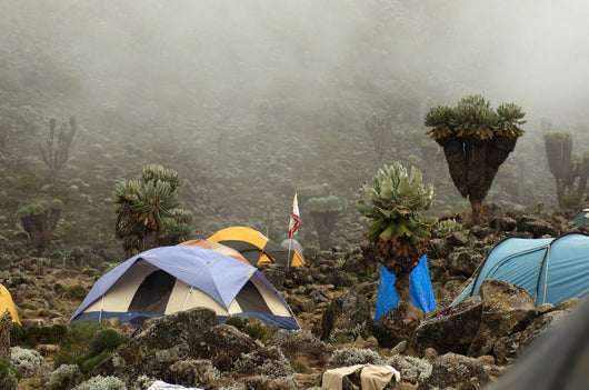 Barranco camp on Machame route. Mount Kilimanjaro, Tanzania. Wall Mural