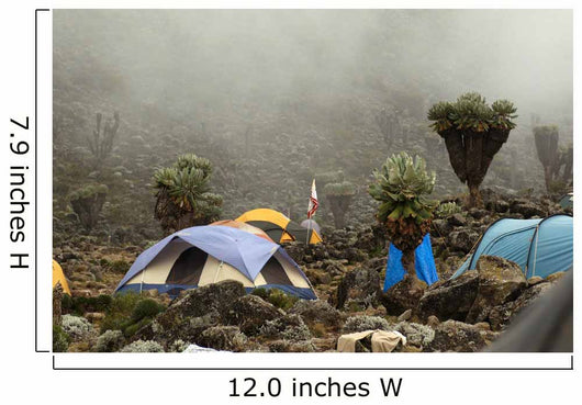 Barranco camp on Machame route. Mount Kilimanjaro, Tanzania. Wall Mural