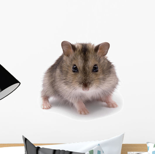 Little Dwarf Hamster Wall Decal
