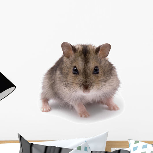 Little Dwarf Hamster Wall Decal