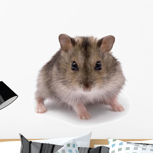 Little Dwarf Hamster Wall Decal