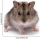 Little Dwarf Hamster Wall Decal