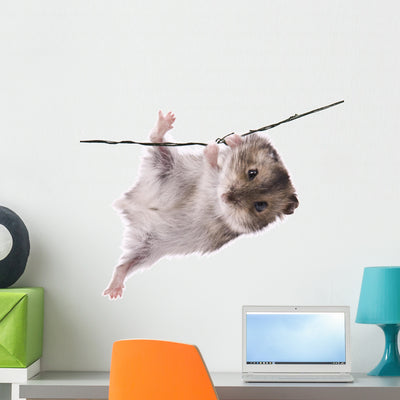 Little Dwarf Hamster Wall Decal shown on a wall