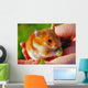 Hamster Wall Mural