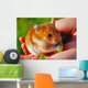 Hamster Wall Mural