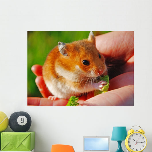 Hamster Wall Mural