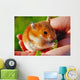 Hamster Wall Mural