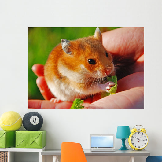 Hamster Wall Mural