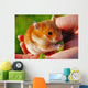 Hamster Wall Mural