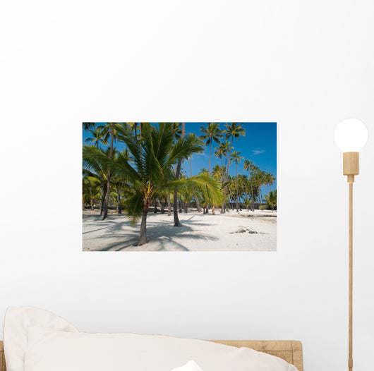 Palm Trees on the Beach Wall Mural