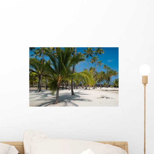 Palm Trees on the Beach Wall Mural