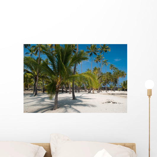Palm Trees on the Beach Wall Mural