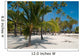 Palm Trees on the Beach Wall Mural