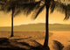 Beach With Palms Wall Mural