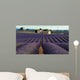 Lavender Field Wall Decal