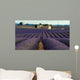 Lavender Field Wall Decal