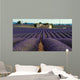 Lavender Field Wall Decal