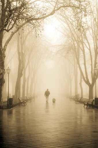 Walking Men with Dog Wall Decal