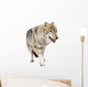 loups roux  europÃ©en Wall Decal
