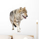 loups roux  europÃ©en Wall Decal