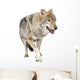 loups roux  europÃ©en Wall Decal