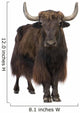 Yak Wall Decal