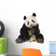 Giant Panda 18 Months - Ailuropoda Melanoleuca Wall Decal