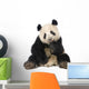 Giant Panda 18 Months - Ailuropoda Melanoleuca Wall Decal
