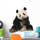 Giant Panda 18 Months - Ailuropoda Melanoleuca Wall Decal