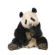 Giant Panda 18 Months - Ailuropoda Melanoleuca Wall Decal