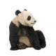Young Giant Panda Wall Decal