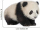 Giant Panda 6 Months - Ailuropoda Melanoleuca Wall Decal
