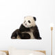 Giant Panda 6 Months - Ailuropoda Melanoleuca Wall Decal
