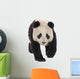 Giant Panda (18 months) - Ailuropoda melanoleuca Wall Decal