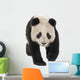 Giant Panda (18 months) - Ailuropoda melanoleuca Wall Decal