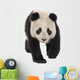 Giant Panda (18 months) - Ailuropoda melanoleuca Wall Decal