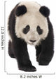 Giant Panda (18 months) - Ailuropoda melanoleuca Wall Decal