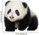 Giant Panda 4 Months - Ailuropoda Melanoleuca Wall Decal