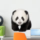 Giant Panda (4 months) - Ailuropoda melanoleuca Wall Decal