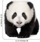 Giant Panda (4 months) - Ailuropoda melanoleuca Wall Decal