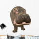Hippopotamus - Hippopotamus Amphibius 30 Years Wall Decal