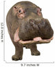 Hippopotamus - Hippopotamus Amphibius 30 Years Wall Decal