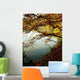 Autumn Forest and Lake Wall Decal