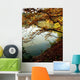 Autumn Forest and Lake Wall Decal