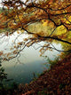 Autumn Forest and Lake Wall Decal