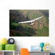 Glider Wall Decal