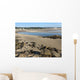 Ogunquit beach and river at moring low tide, Maine Wall Mural