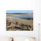 Ogunquit beach and river at moring low tide, Maine Wall Mural
