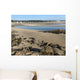 Ogunquit beach and river at moring low tide, Maine Wall Mural